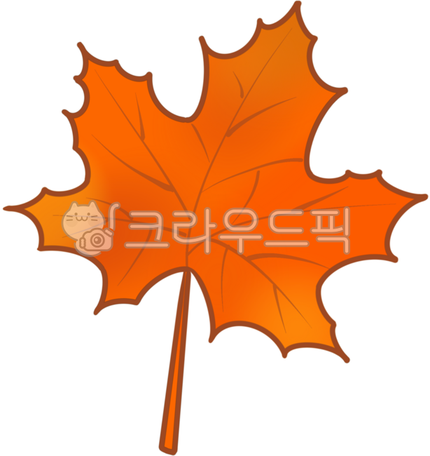 tree branch,maple tree,autumn tree,fall,maple leaves,Chuseok,maple leaves,fall,fallen leaves,leaf,leaves