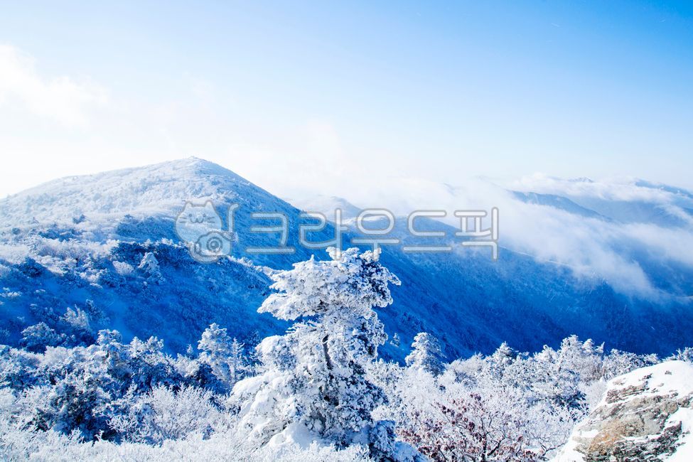 겨울,설경,눈,덕유산,상고대,nature,자연,weather,날씨,mountain,산,outdoors,옥외,tree,나무,winter,파란하늘
