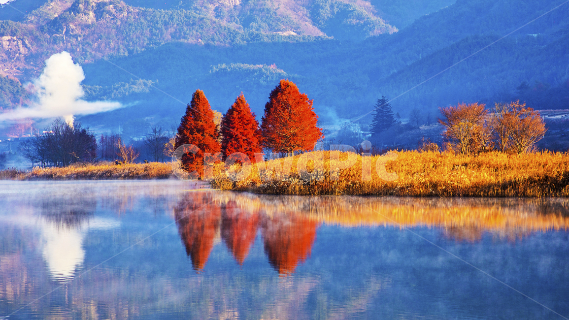 전북,진안,용담호,용담댐,추색,가을,만추,단풍,반영,물안개,tree,나무,plant,식물,nature,scenery,outdoors,옥외,자연,경치,경관,풍경,가을,계절,fall,autumn,season,자연,풍경,nature,landscape,한국자연풍경,한국자연경관,korea nature landscape