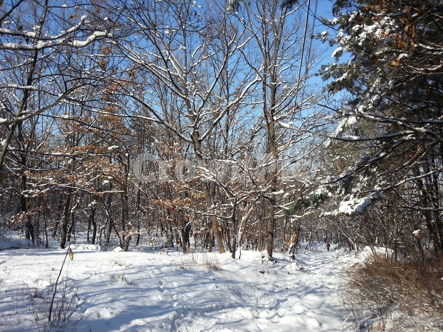 겨울산,눈,설경,겨울,날씨,겨울,계절,winter,season,자연,풍경,nature,landscape