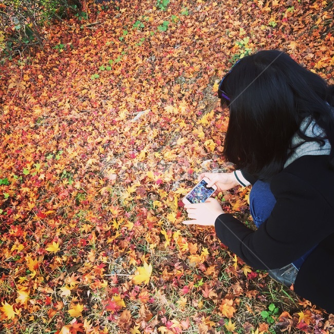 가을,낙엽,단풍,단풍잎,여자,사진촬영,사진,빨강,노랑,가을,계절,fall,autumn,season,여성,여자,woman,female,lady,paper,종이,confetti,색종이 조각