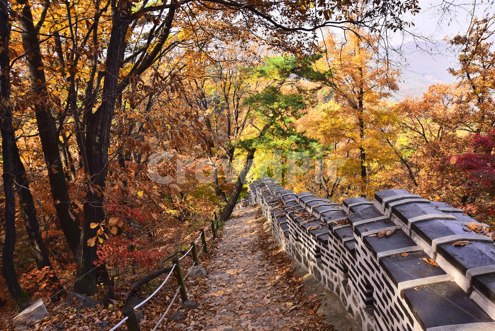 가을,가을배경,남한산성,세계문화유산,한국자연경관,둘레길,성곽길,산책로,등산로,산,배경,바탕,백그라운드,단풍산,단풍숲,성벽,계절,시즌,season,outdoor,옥외,야외,가을산,식물,plant,flowers,autumn,fall,background,maple,tree,형형색색,오색의,찬란한,칼라풀,colorful,가을풍경,길,돌담,한국전통,호젓한,healing,힐링,인적없는,가을,계절,fall,autumn,season,자연,풍경,nature,landscape,나무,leaf,잎,단풍