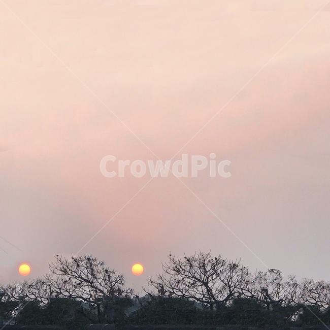노을,달,나무,주황색,야경,자연,풍경,nature,landscape,outdoors,옥외