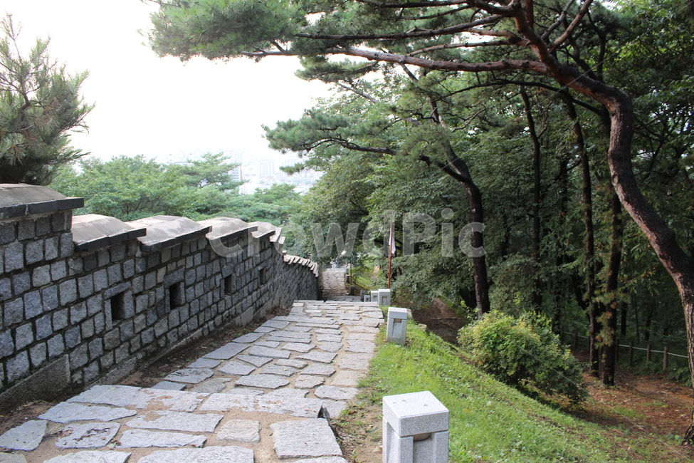 walkway,성곽길,산책로,나무,tree