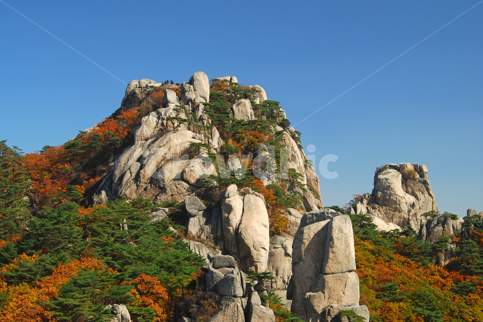 도봉산,산,단풍,가을,계절,풍경,자연,바위,바위산,봉우리,산봉우리,나무,숲,산림,등산,절경,국립공원,하늘,한국,가을,계절,fall,autumn,season,자연,풍경,nature,landscape,한국자연풍경,한국자연경관,korea nature landscape,cliff,낭떠러지,outdoors,옥외