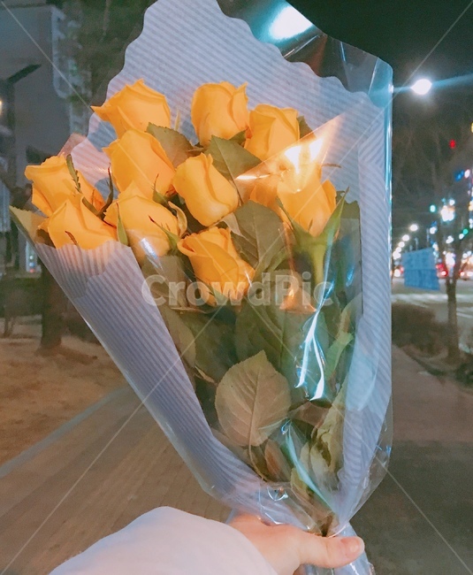 노란장미,장미다발,꽃다발,장미꽃,장미꽃다발,노란장미꽃,집가는길,꽃,flower,기념일,축하,anniversary,congratulation,celebrate,celebration