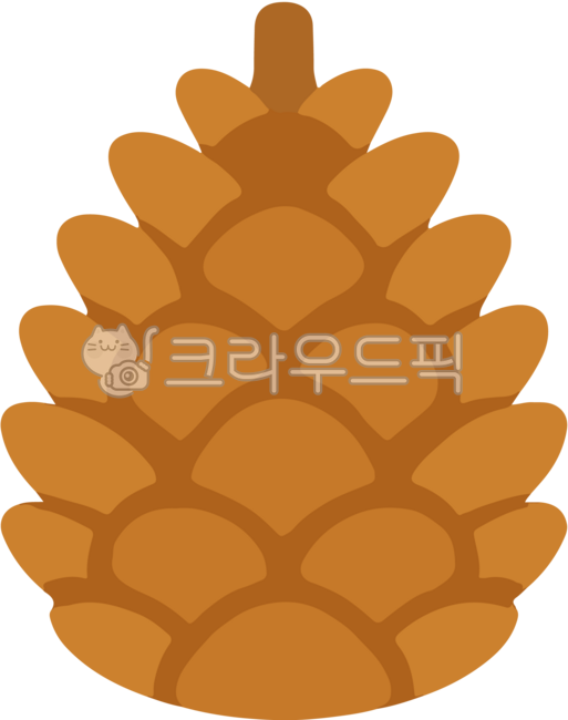 Pine cone,pine cone illustration,pine cone drawing,pine cone image,fruit,cute,pine tree,pine cone