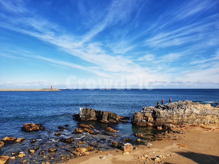 sea,바다,nature,자연,대양,water,물,해안선,자연,풍경,nature,landscape