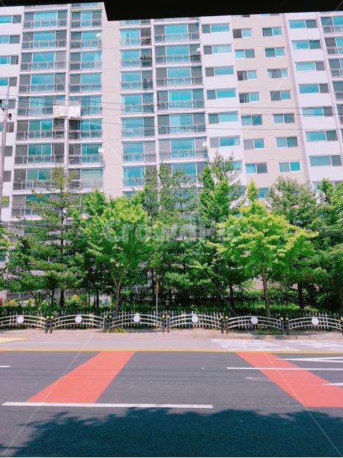 Town,sight,tree,road name,Street,apartment