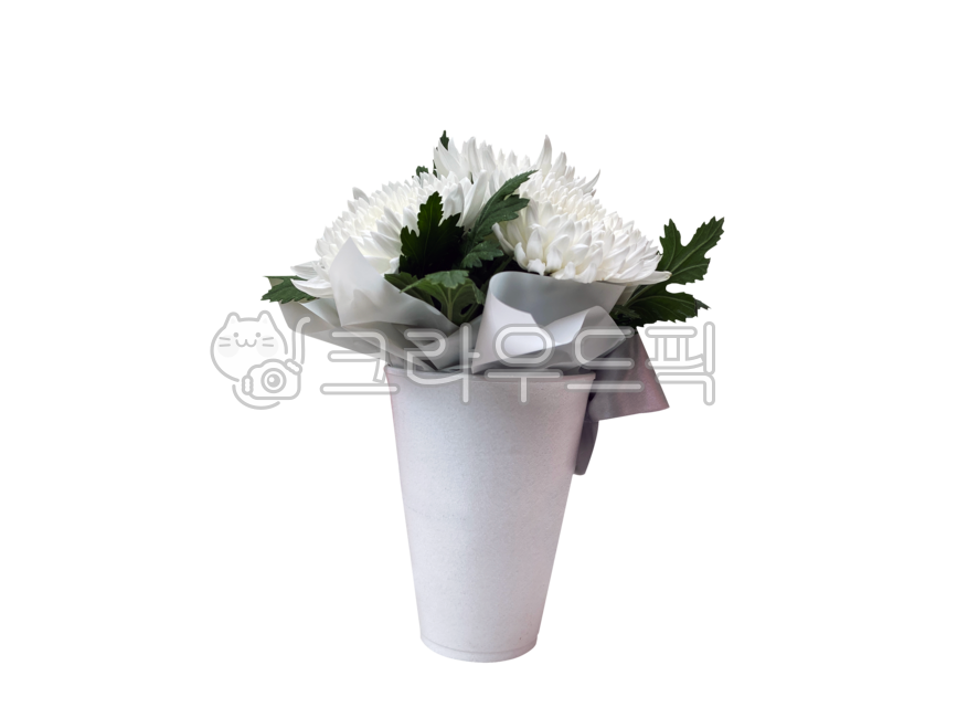 국화,장례,추모,국화꽃,png,애도,배경,투명배경,누끼,조의,꽃,장례식,상조,추도식,현충일,추모일,기념일,추도,추억,영령,호국,보훈,꽃다발,꽃꽂이,chrysanthemum,chrysanthemumflower,background,transparentbackground,isolated,condolences,flower,funeral,memorialservice,remembranceday,anniversary,mourning,remembrance,heroicspirit,patriotic,veteran,flowerbouquet,flowerarrangement