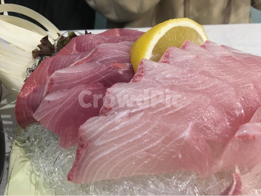 방어회,회,일식,안주,사시미,방어,생선회,생선,음식,식재료,요리,food,cook,meal,dishes,food reserves,수산물,해산물,fishery products,seafood