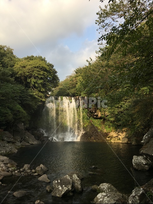 천제연폭포,폭포,자연경관,제주도폭도,제주도