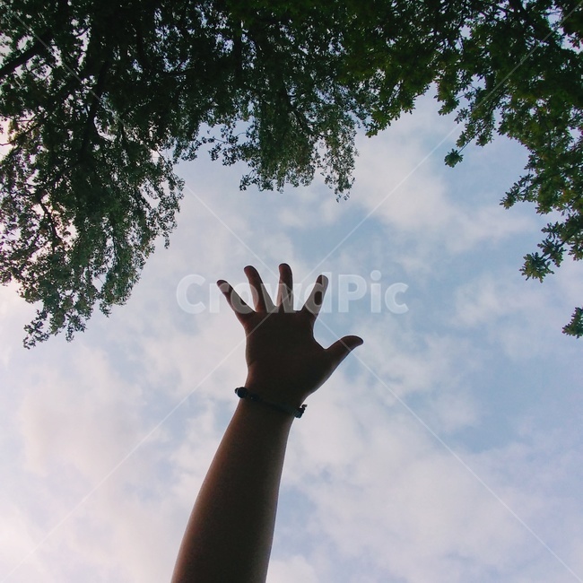 하이파이브,파이팅,하늘,자연,배경,도전,손,손가락,finger