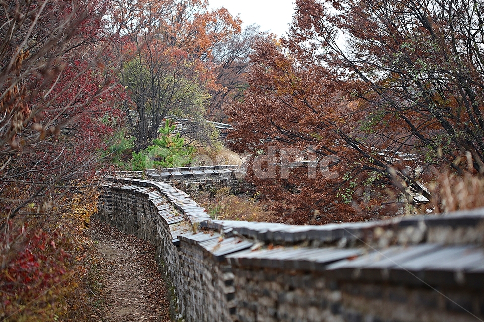 남한산성,성,성곽,단풍,낙엽,길,둘레길,숲,숲길,담,돌담,가을,자연,풍경,벽,울긋불긋,산성,식물,가을,계절,fall,autumn,season