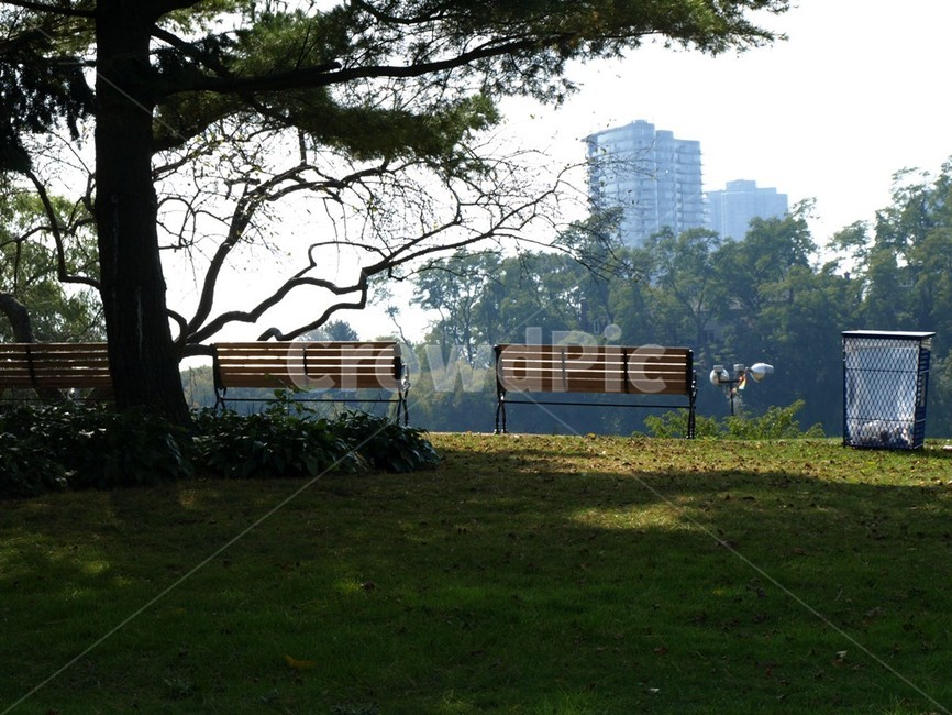 벤치,의자,들판,도시,건물,자연,공원,자리,평화,떠남,빈자리,위치,기다림,마련,나무,자연보호,소음,공허,소망,믿음,배경,굴절,색,ppt,도시,풍경,city,landscape,휴식,힐링,rest,relaxation,healing,bench,furniture,가구