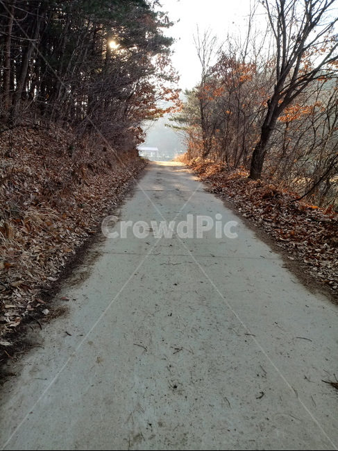 길,도로,산책로,흙길,옥외,자연,path,road,통로,낙엽,산길