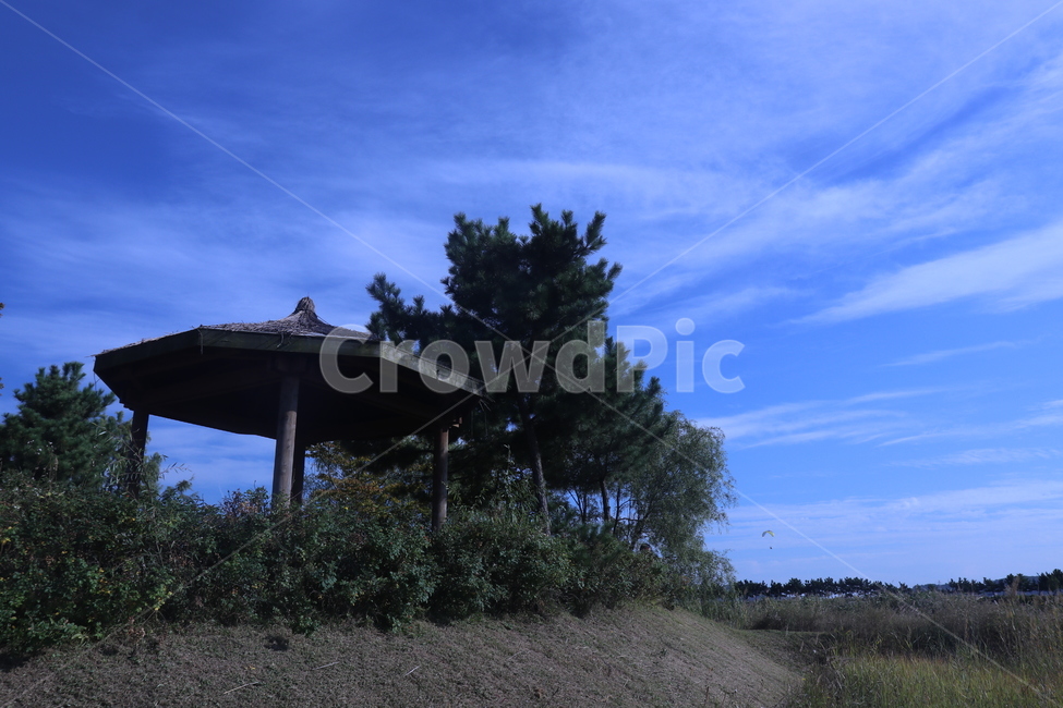 푸른,하늘,구름,정자,나무,bluesky,tree
