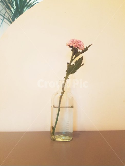 꽃,꽃병,카페,사물,인테리어,소품
