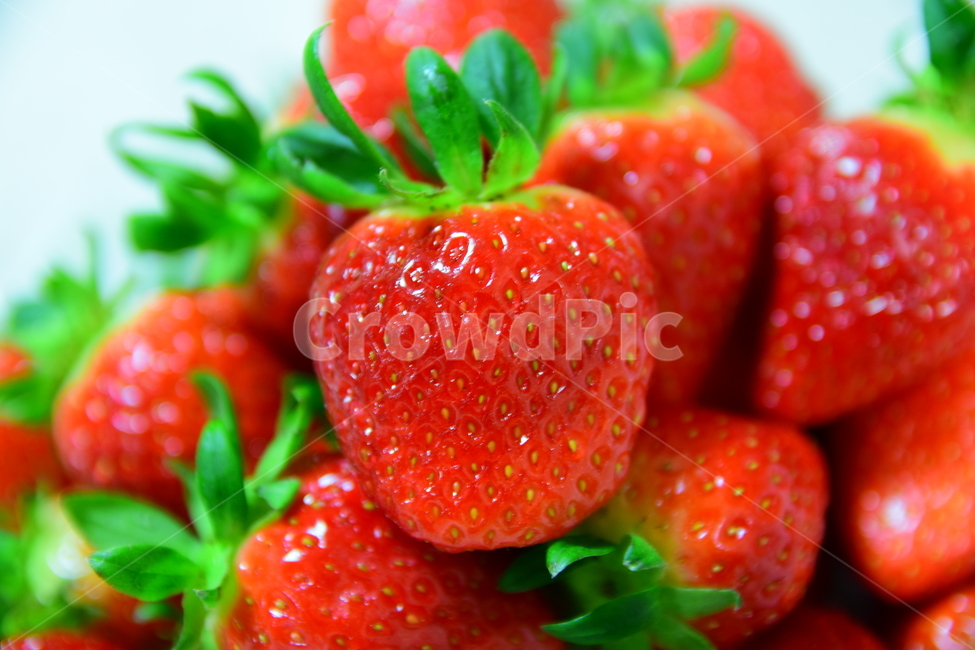 딸기,꼭지,접사,클로즈업,빨강,탐스러운,맛있는,식재료,음식,과일,채소,closeup,strawberry,fruits,제철