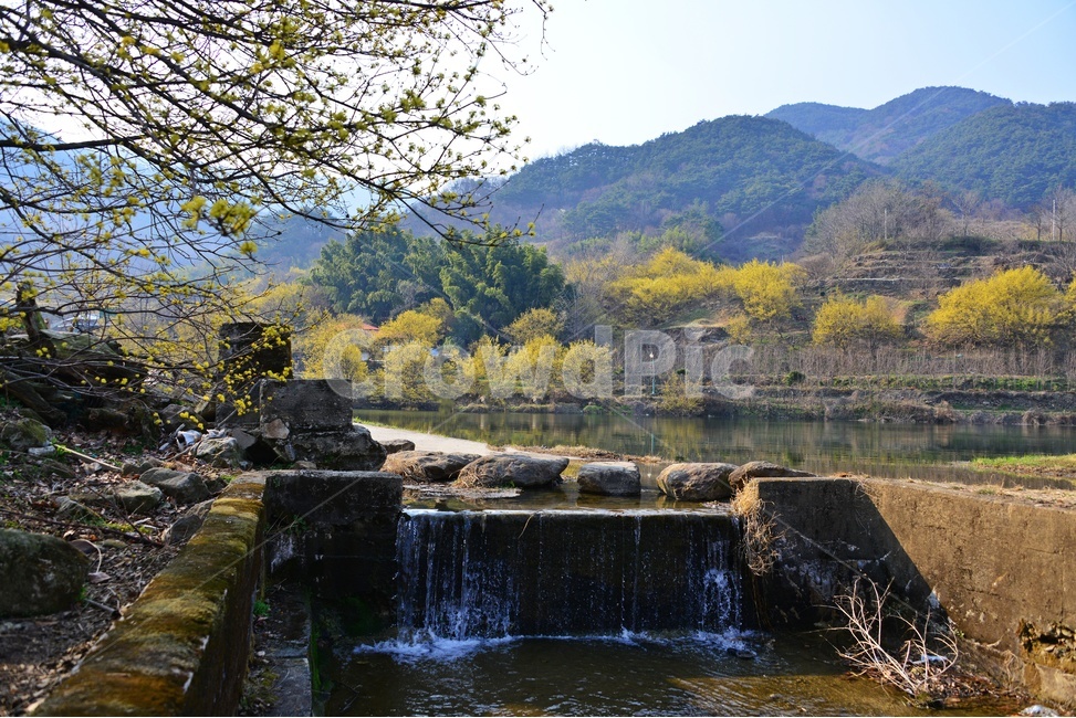 nature,자연,landscape,경치,outdoors,옥외,scenery,풍경,구례,산동,산수유마을,산수유,산수유축제,현천마을,연못,반영
