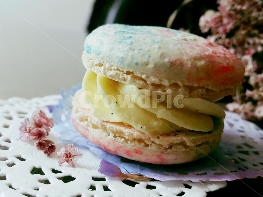 힐링,마카롱,디저트,음식,예쁜,간식,desert,macaroon,food,프랑스음식,설탕,후식,색깔,색채,색감,연출,꽃