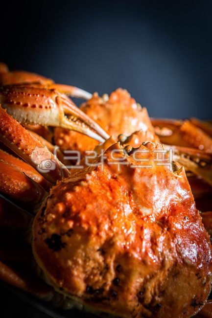 러시아대게,대게,홍게,킹크랩,대게찜,홍게찜,영덕대게,동해안대게,음식,식재료,요리,food,cook,meal,dishes,food reserves