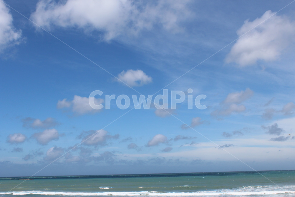 제주,제주도,바다,나무,야자수,여유로움,여유,nature,자연,outdoors,푸른하늘,sky,하늘,ocean,water,sea,물,날씨,land,땅,대양,coast,연안,자연,풍경,nature,landscape,한국자연풍경,한국자연경관,korea nature landscape,옥외,weather