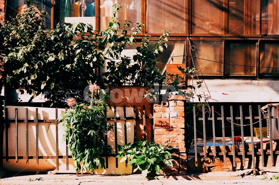 건물,집,햇빛,일상,휴식,감성,sensible,feeling,휴식,힐링,rest,relaxation,healing