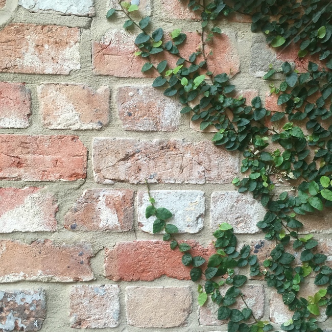 brick,벽돌,plant,식물,interior,design,조경,디자인,인테리어,플랜테리어