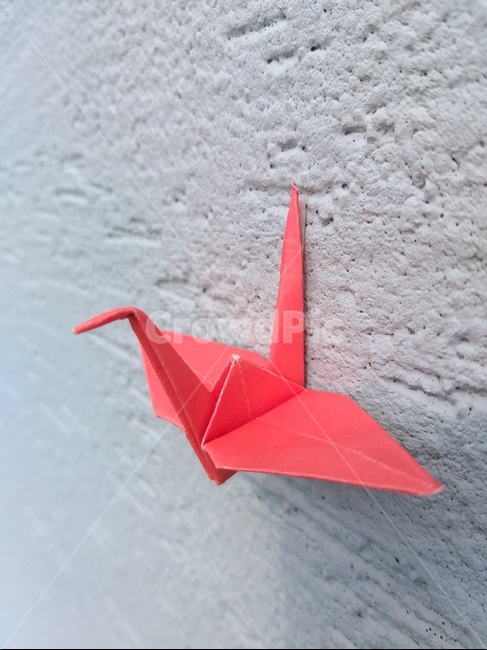 종이학,벽,종이접기,빨간색,papercrane