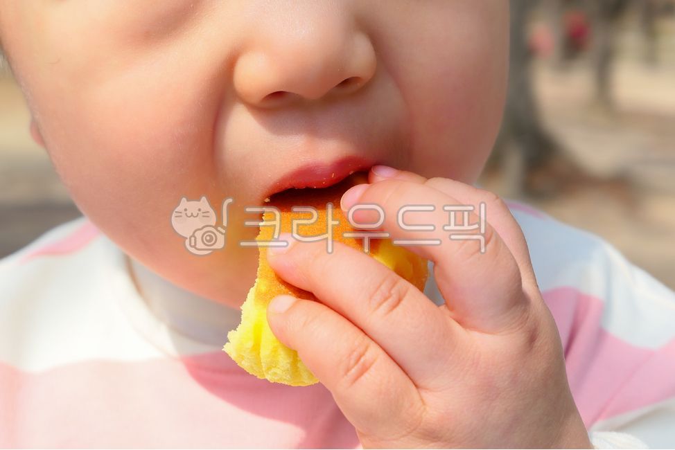 아기,아이,빵,카스테라,음식,취식,어린이,영유아,먹는,간식,먹기,사람,인간,남자아이,먹음직스러운,손,고사리손,작은,통통한,토실토실,입,얼굴,코,귀여운,앙증맞은