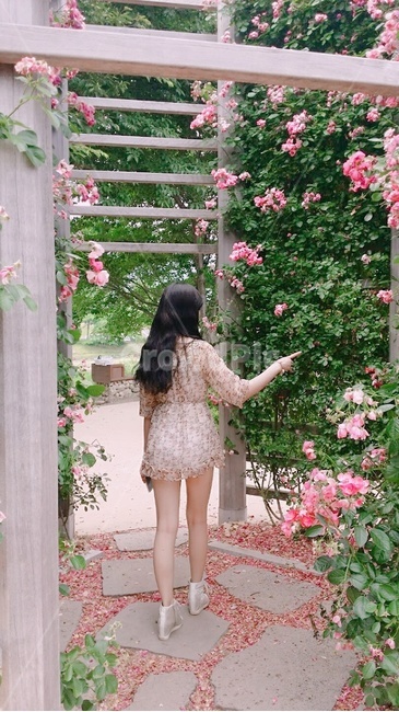 장미공원,장미,여자,뒷모습,몽환,사람,인물,인간,human,person,여성,여자,woman,female,lady