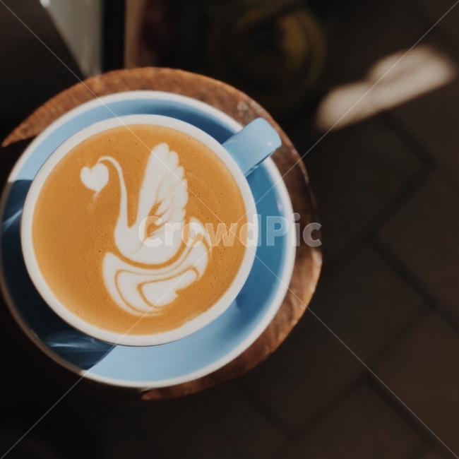 스완,라떼아트,라떼,아트,커피,커피,카페,coffee,cafe,감성,sensible,feeling