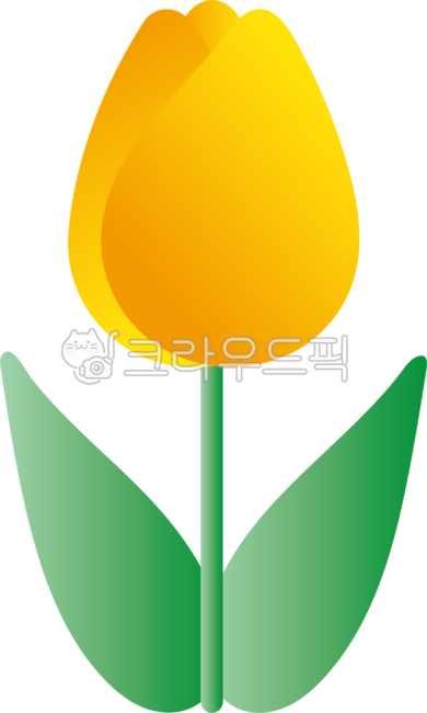 꽃,꽃잎,petal,튤립,tulip,플라워,flower,봄,spring,식물,plant,자연,nature,장식,일러스트,그래픽,graphic,노랑,yellow