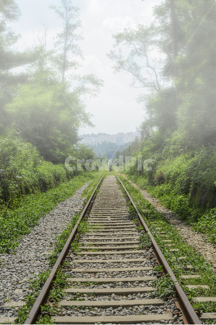 철길,사람,철도,숲,안개,배경,녹색,철,라인,자연,오래된,야외,경로,빈티지,철도트랙,도로,하늘,기차,수송,교통,교통,교통수단,traffic,transportation