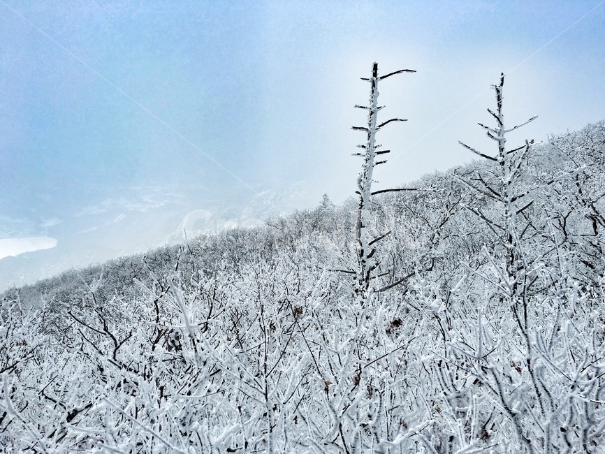 outdoors,snow,눈,storm,겨울,winter,눈보라,blizzard,자연,nature,겨울,계절,winter,season,자연,풍경,nature,landscape,폭풍,옥외