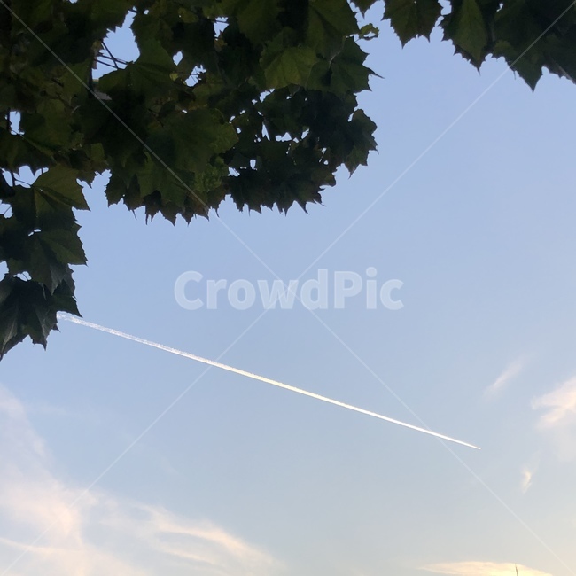 구름,하늘,나무,풍경,자연,배경,outdoors,옥외