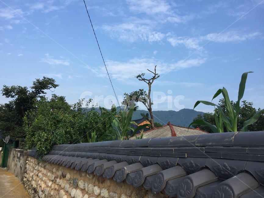지붕,돌담,돌담길,자연,하늘,기와