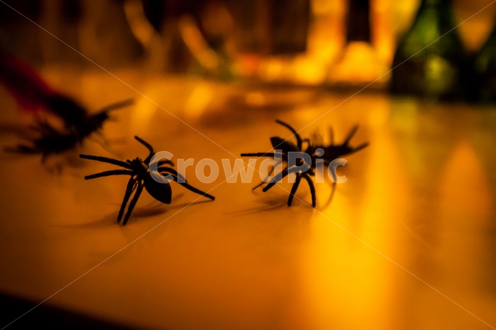 거미,정물,풍경,인테리어,실내,거미사진,정물사진,풍경사진,인테리어사진,실내사진,spider,interior,거미모형,stetue,조각상,동상,석상,조형물,statue,bronze statue,stone statue,인테리어,실내디자인,interior design,사물,물건,오브젝트,thing,object,matter