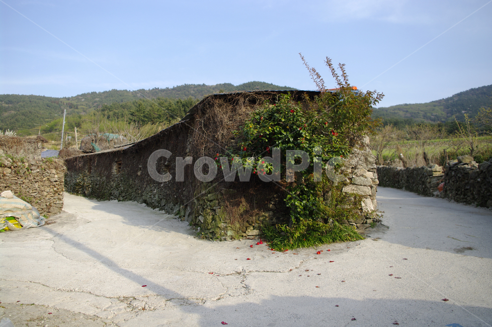 길,돌담길,돌담,넝쿨,식물,plant,풍경,하늘,자연,풍경,nature,landscape,building,건물,bunker,벙커