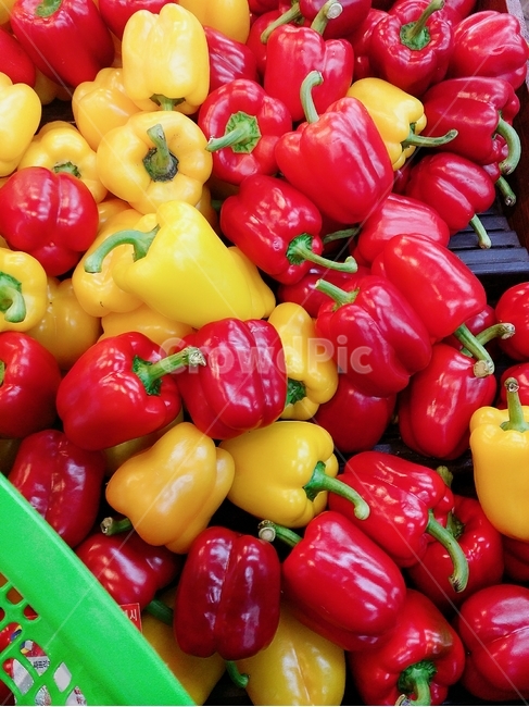 파프리카,과일,채소,마트,빨강,노랑,피망,음식,식재료,요리,food,cook,meal,dishes,food reserves,채소,야채,vegetables