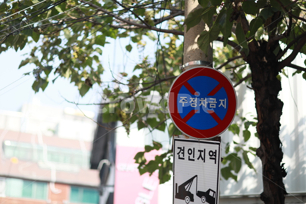 도로교통표지판,도로표지판,도로안전표지판,안전표지판,교통표지판,교통안전표지판,이정표,표지판,교통,교통수단,traffic,transportation