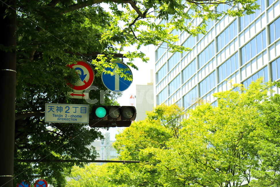 일본,신호등,초록색,표지판,녹색신호등,외국,후쿠오카,교통,교통수단,traffic,transportation