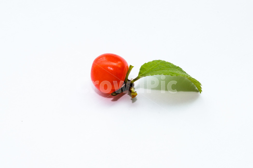 앵두,과일,문양,신선,무늬,여름,음식,식재료,요리,food,cook,meal,dishes,food reserves,과일,열매,fruit,누끼,remove background