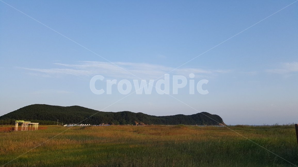 들판,자유,자연,풍경,하늘,자연,풍경,nature,landscape,outdoors,옥외,grassland,목초지,field,들