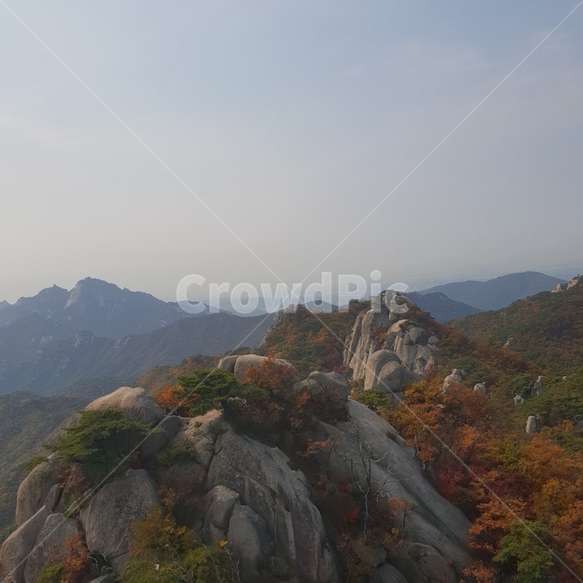 북한산국립공원,도봉산,낙엽,가을풍경,나무,바위