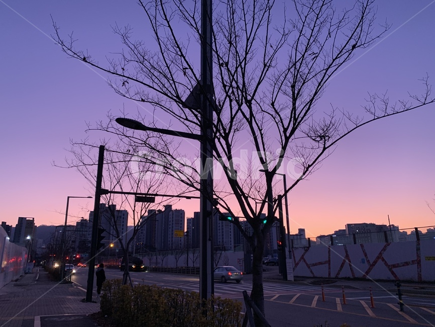 여명,새벽,보라빛,하늘,배경,풍경,도시,풍경,city,landscape,한국도시풍경,한국도시경관,korea cityscape