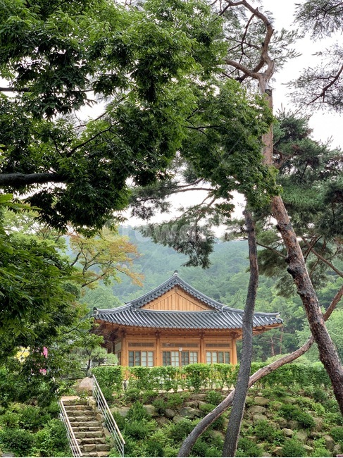 건축물,신사,worship,temple,building,건물,예배,신전,pagoda,한국전통,한국문화,korean traditional,korean culture