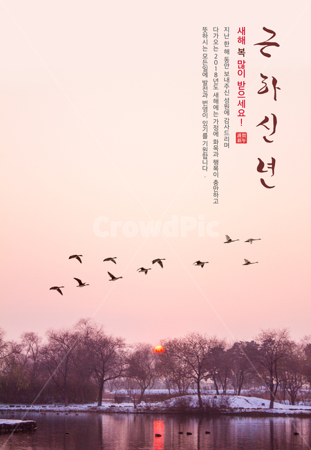 기러기,일몰,연못,눈,캘리,캘리그라피,손글씨,붓글씨,겨울,전통,명절,신년,설날,구정,설,연하장,한국전통,한국문화,korean traditional,korean culture,그래픽,일러스트레이션,graphic,illustration,캘리그라피,손글씨,calligraphy