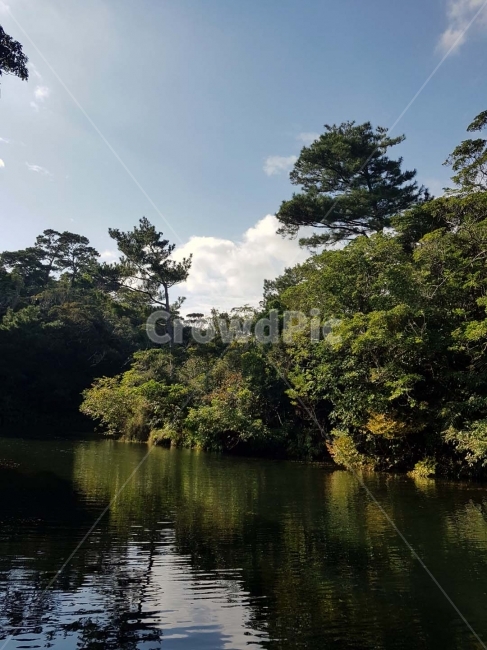 하늘,구름,자연,숲,산림,식물원,산림욕,야외,나들이,나무,sky,tree,cloud,산,강,수로,자연,풍경,nature,landscape,water,물,outdoors,옥외,land,땅